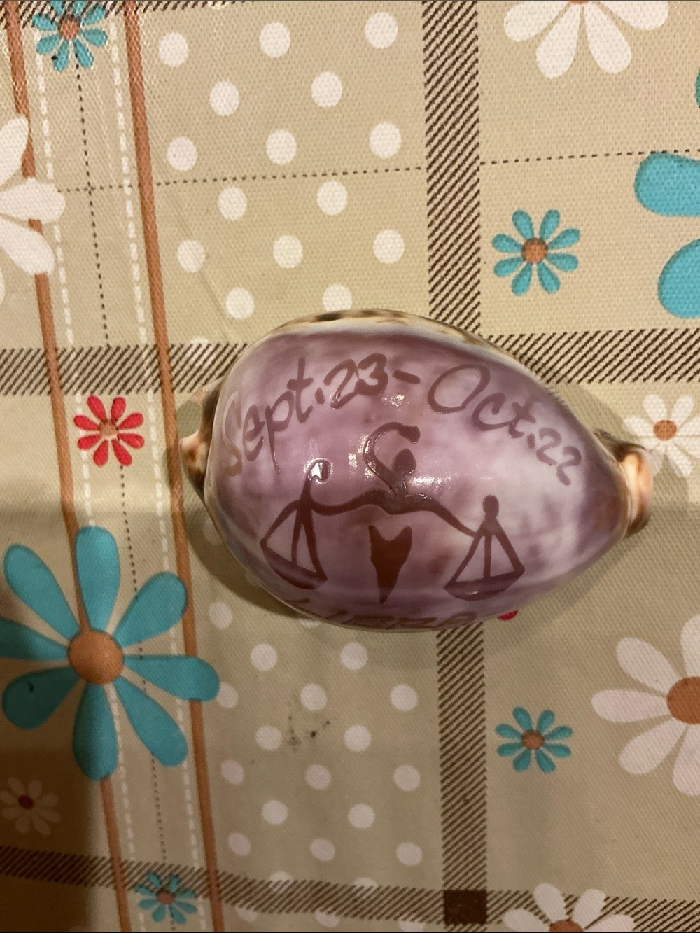 Libra Decorative Shell Accent - Picture 5 of 5
